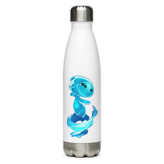Stainless Steel Water Bottle: Aquanna